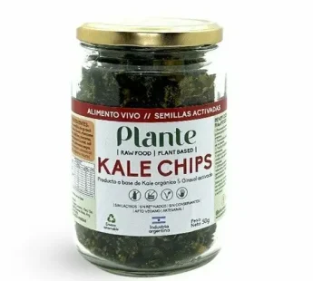 Kale Chips – Plante